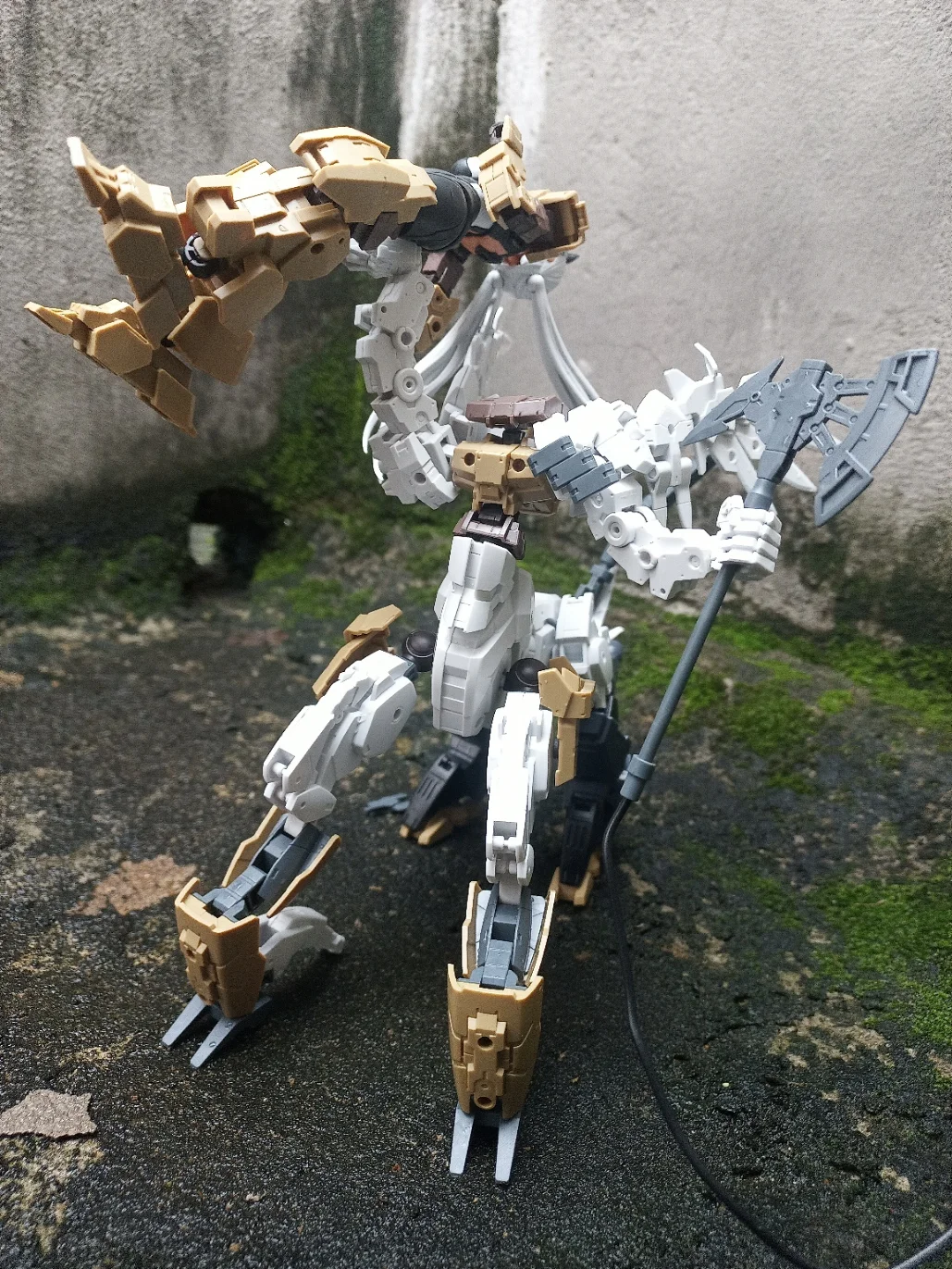 Ảnh dự thi - Nguyễn Hoàng Tuấn