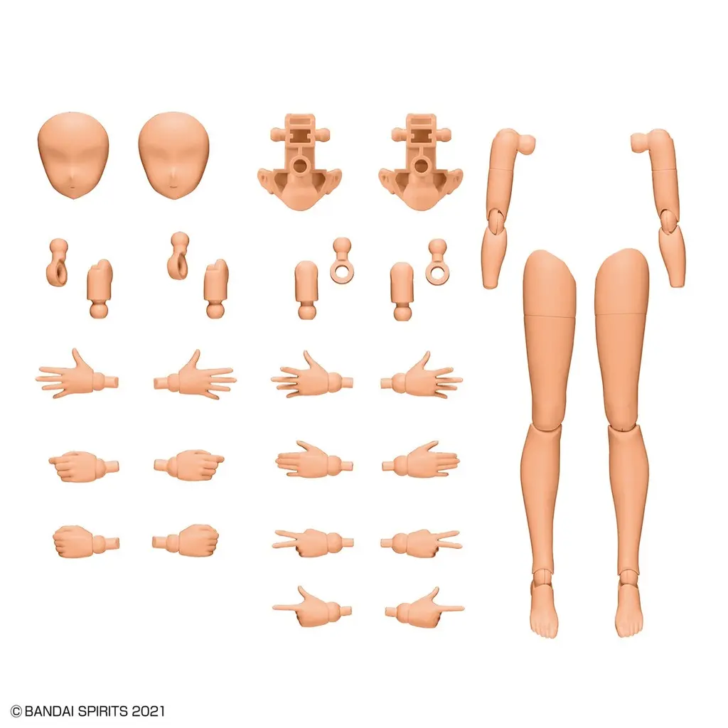 Mô hình lắp ráp phụ kiện 30MS OPTION BODY PARTS ARM PARTS & LEG PARTS [COLOR C]