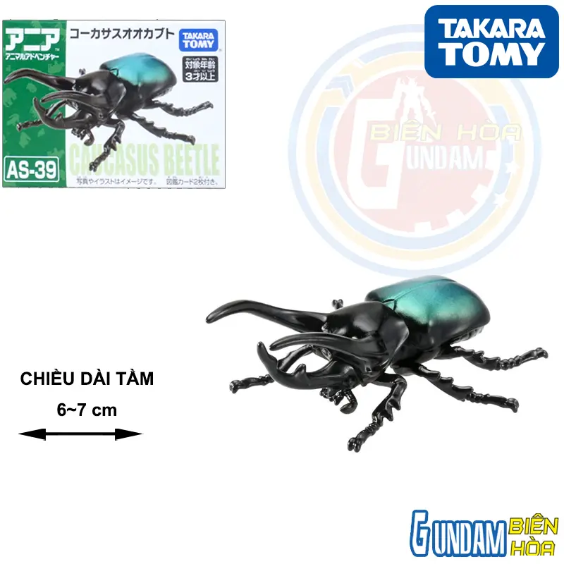 Mô hình Bọ Cánh Cứng ANIA AS-39 Insects Caucasian Beetle