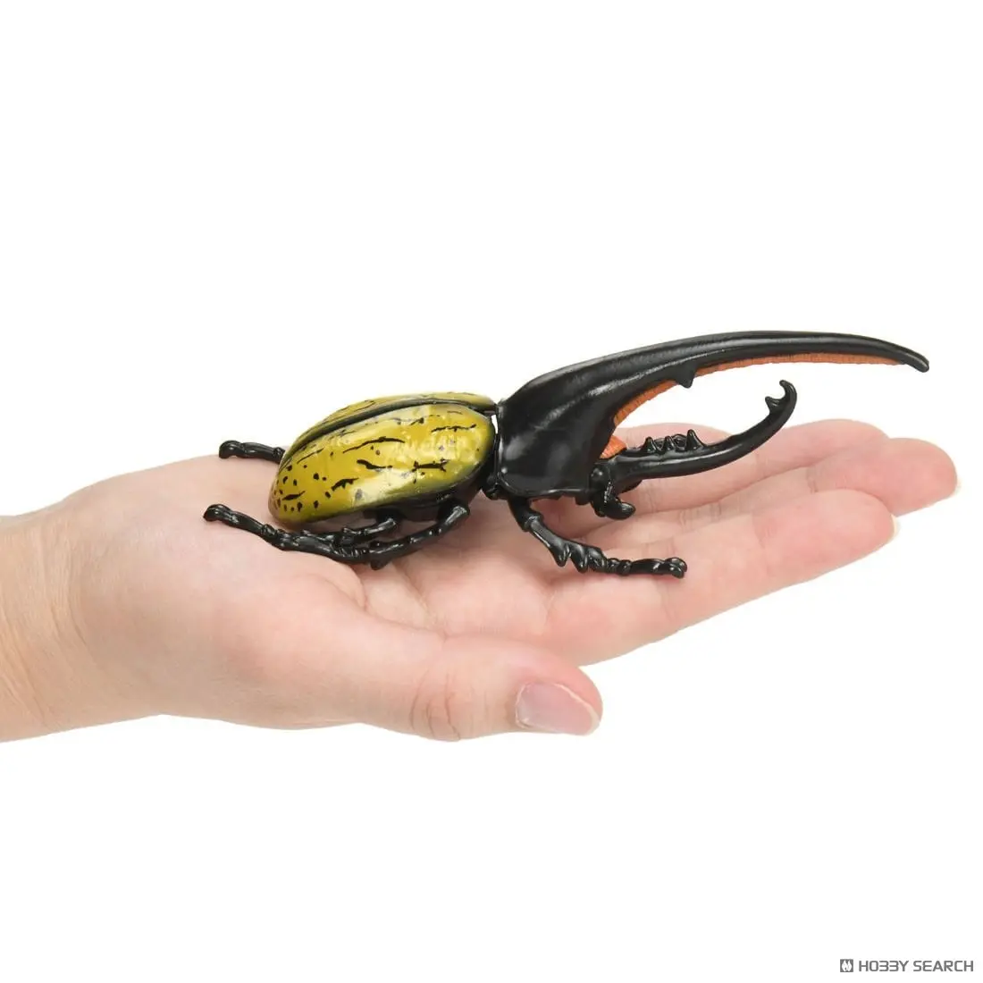 Mô hình Bọ Cánh Cứng ANIA AL-17 hercules beetle