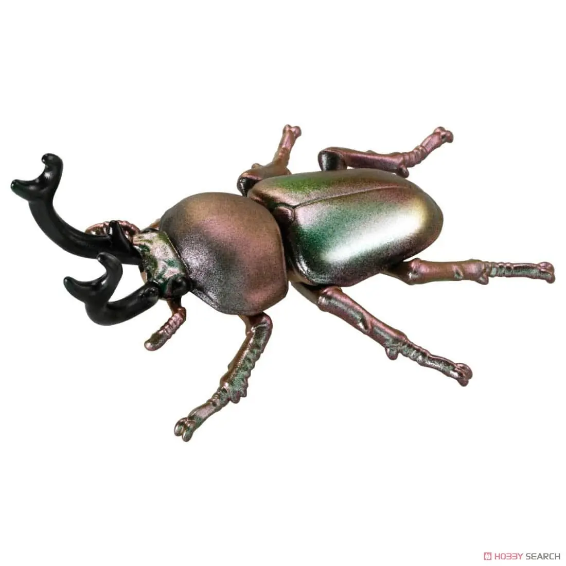Mô hình Bọ Cánh Cứng Ania AS-42 Ranibow Beetle