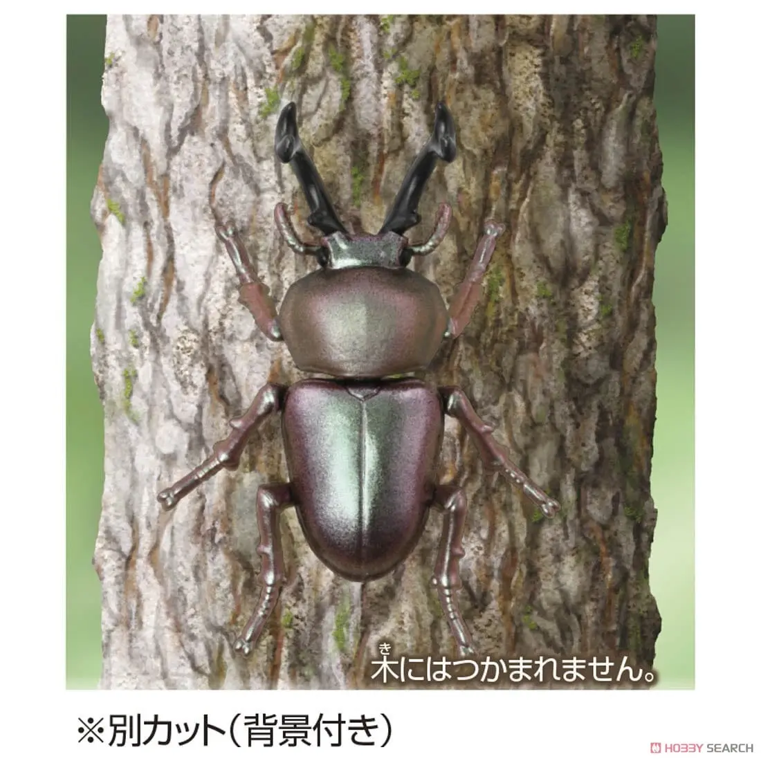 Mô hình Bọ Cánh Cứng Ania AS-42 Ranibow Beetle