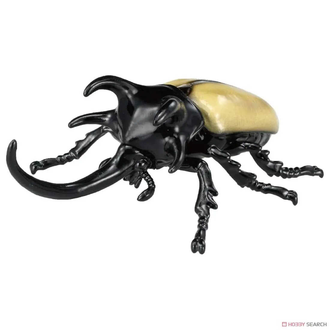 Mô hình Bọ Cánh Cứng Ania AS-41 Five Horns Beetle