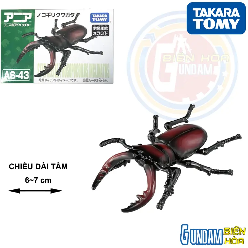 Mô hình Bọ Cánh Cứng Ania AS-43 Sawtooth Stag Beelte
