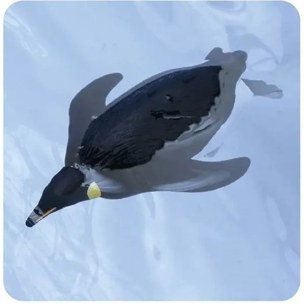 Mô hình ANIA AS-11 Emperor Penguin (Floatable Ver,)