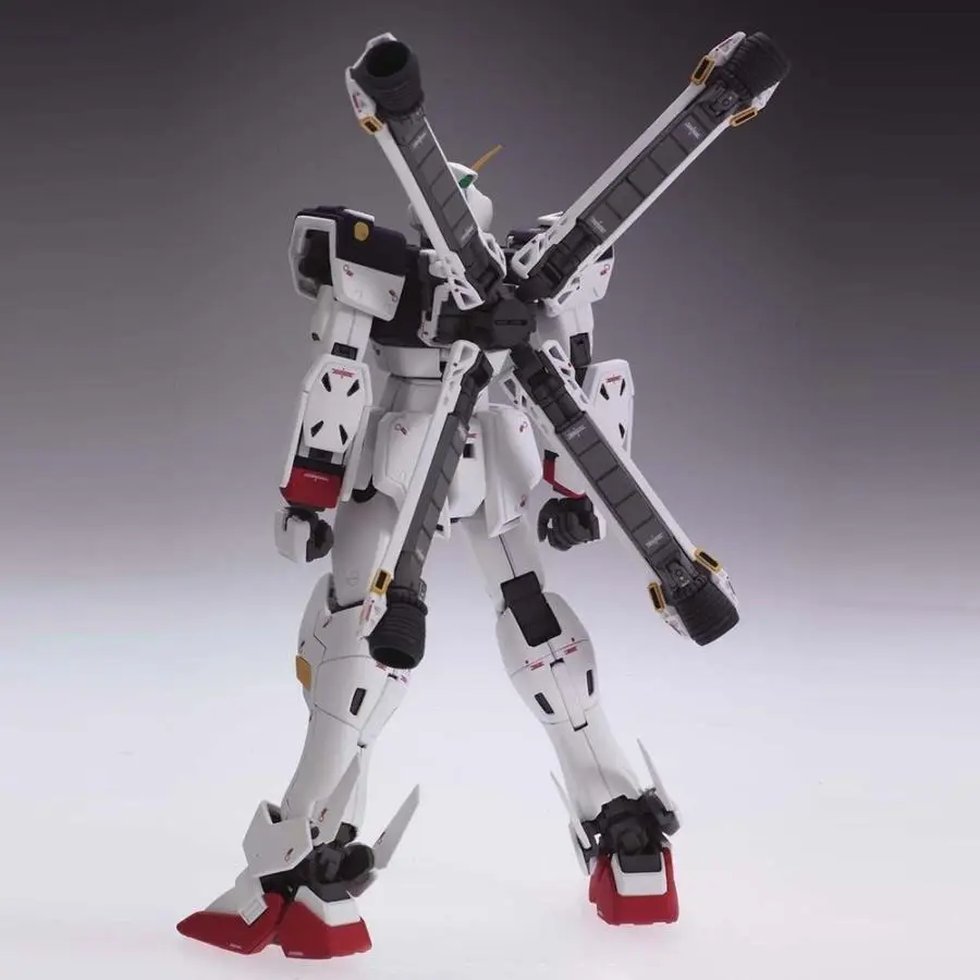 Mô hình lắp ráp MG 1/100 CROSSBONE GUNDAM X-1 ver.Ka
