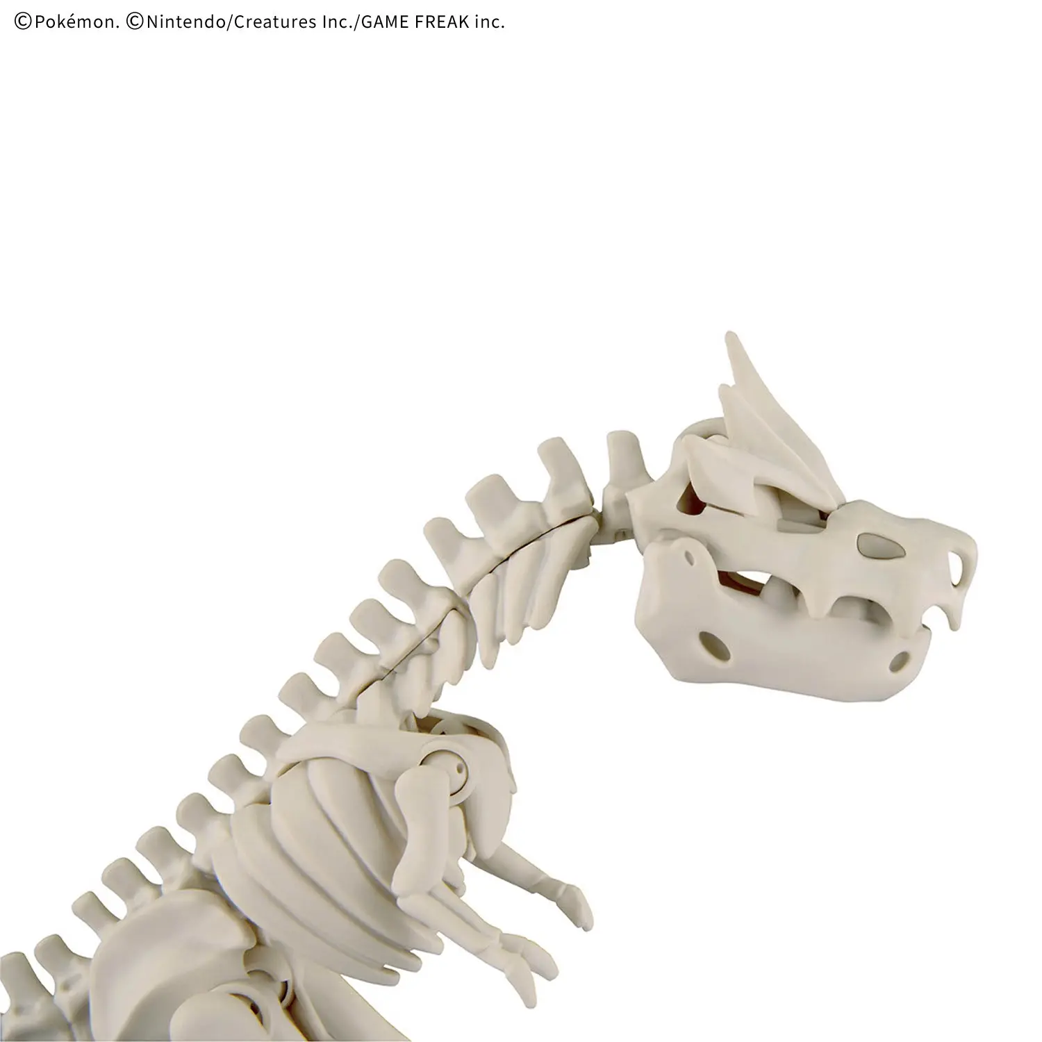 Mô hình lắp ráp Pokémon PLAMO COLLECTION FOSSIL Pokémon SERIES Tyrantrum