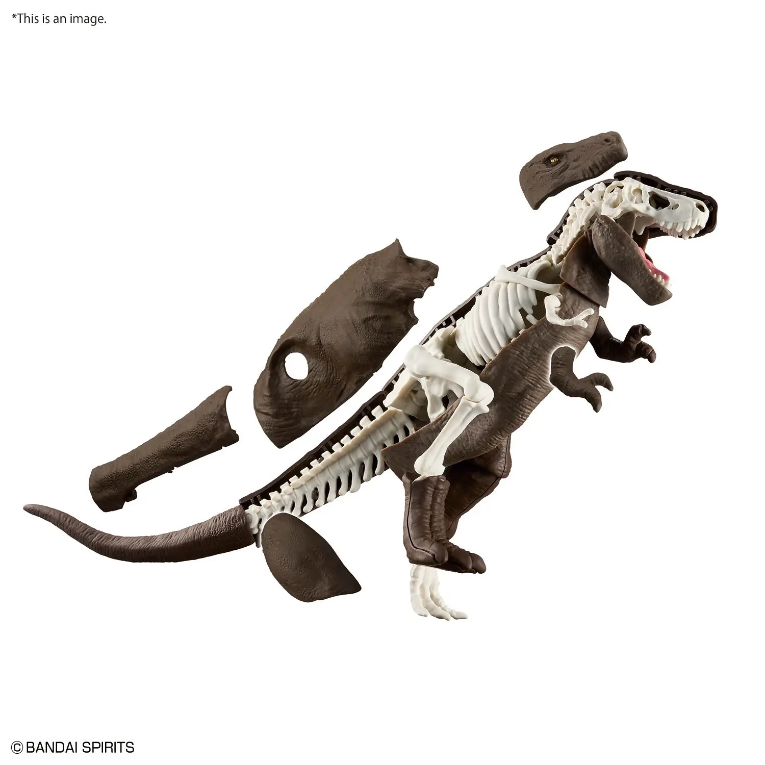 PLANNOSAURUS Tyrannosaurus 1915