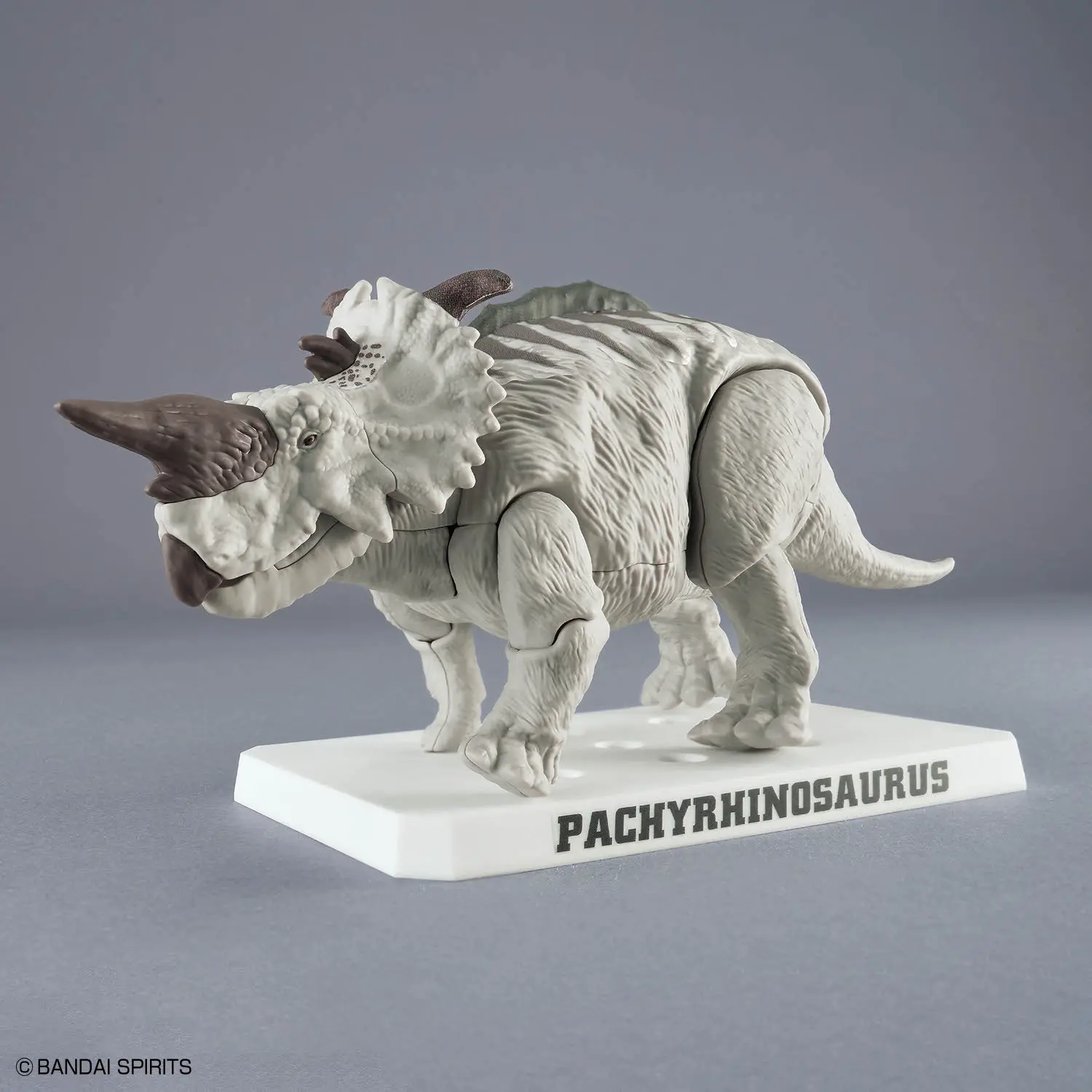 Mô hình lắp ráp PLANNOSAURUS Pachyrhinosaurus