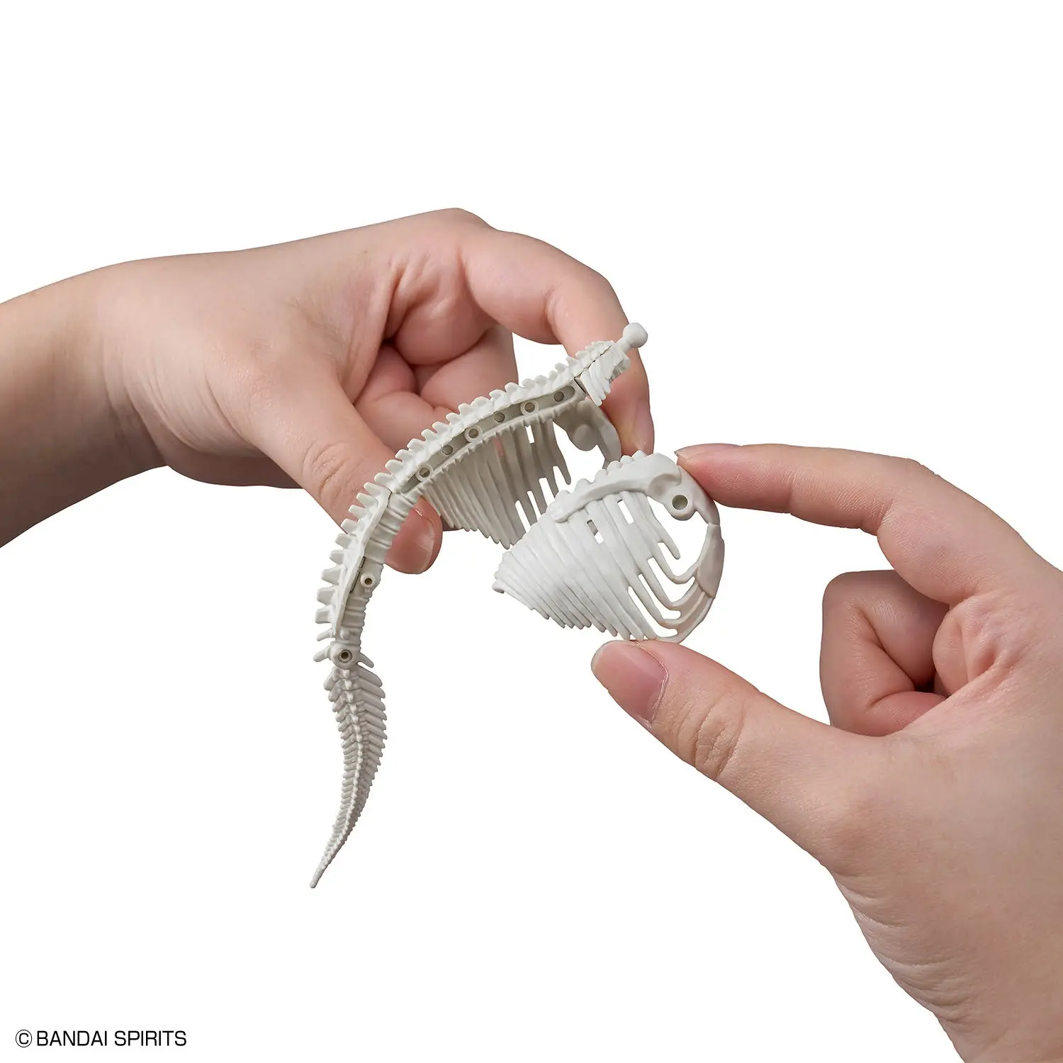 Mô hình lắp ráp PLANNOSAURUS Pachyrhinosaurus