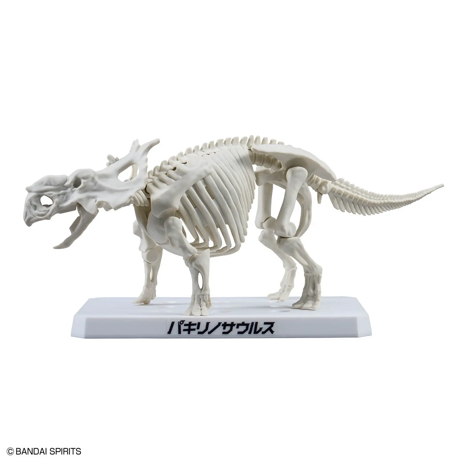Mô hình lắp ráp PLANNOSAURUS Pachyrhinosaurus